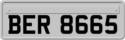 BER8665