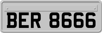 BER8666