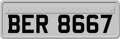 BER8667