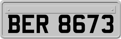 BER8673