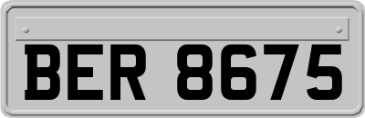 BER8675