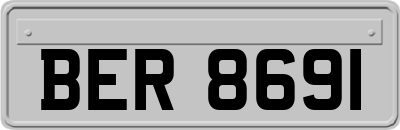 BER8691