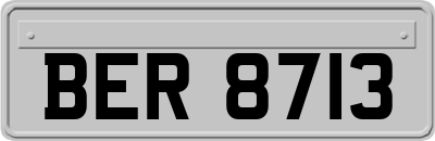 BER8713