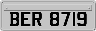 BER8719