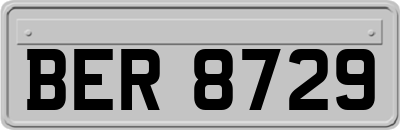 BER8729