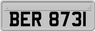 BER8731