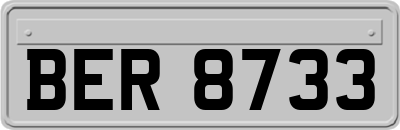 BER8733