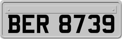 BER8739