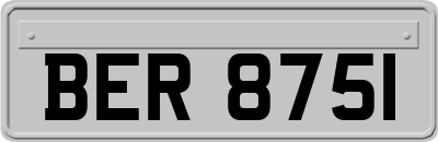 BER8751