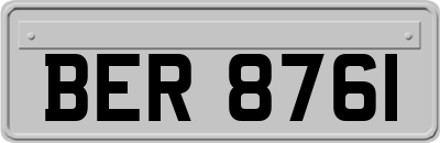 BER8761