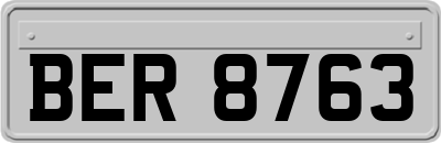 BER8763