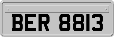 BER8813