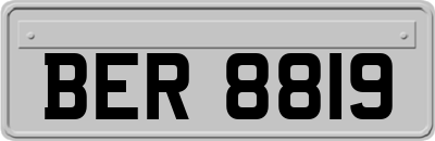 BER8819