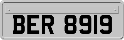 BER8919