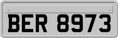 BER8973