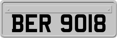 BER9018