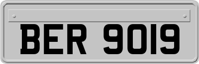 BER9019