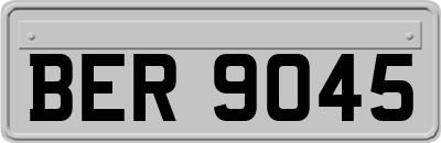 BER9045