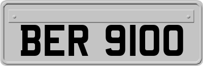 BER9100