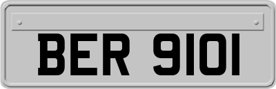 BER9101