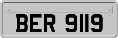 BER9119