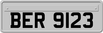 BER9123