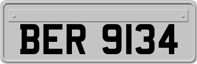 BER9134