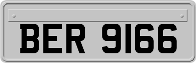 BER9166