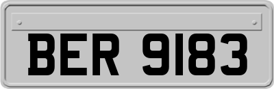 BER9183