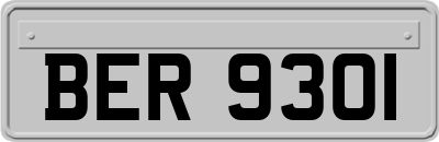 BER9301