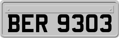 BER9303