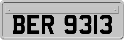 BER9313