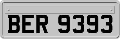 BER9393