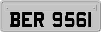 BER9561