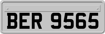 BER9565