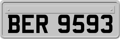 BER9593