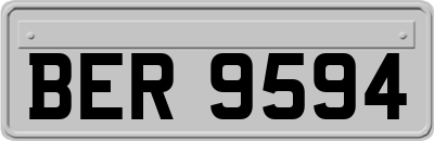 BER9594