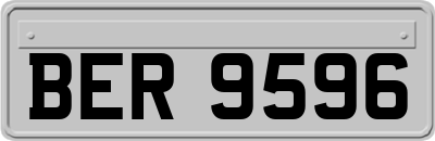 BER9596