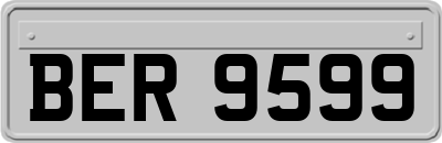 BER9599