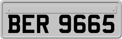 BER9665