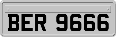 BER9666