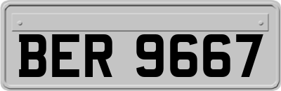 BER9667
