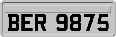 BER9875