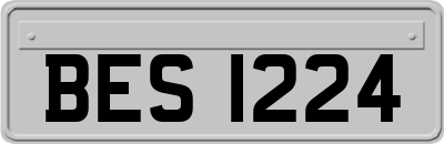 BES1224