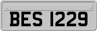 BES1229