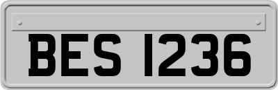 BES1236