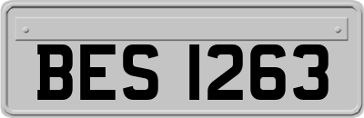 BES1263