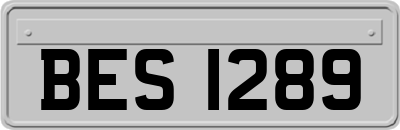 BES1289