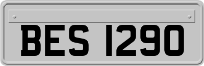 BES1290