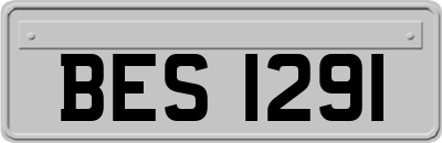 BES1291